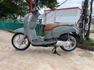 Scoopy for sale